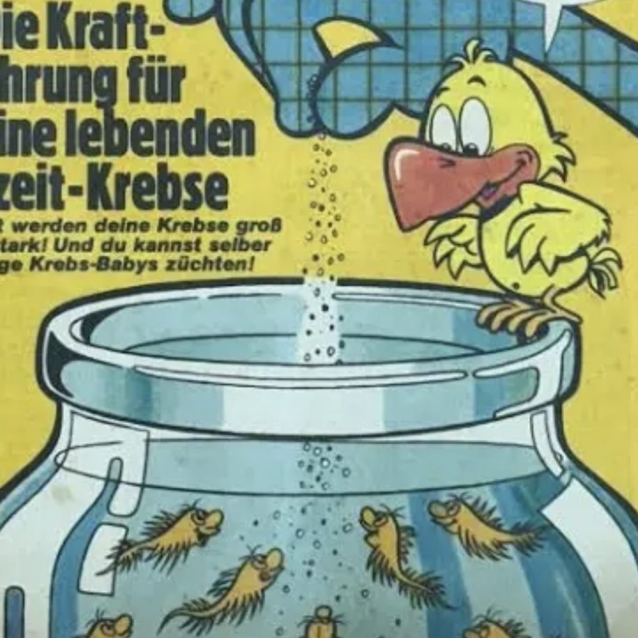 Innovatives Spielzeug